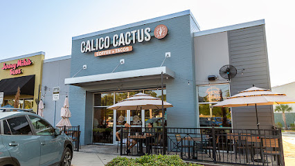 Calico Cactus – St. Augustine